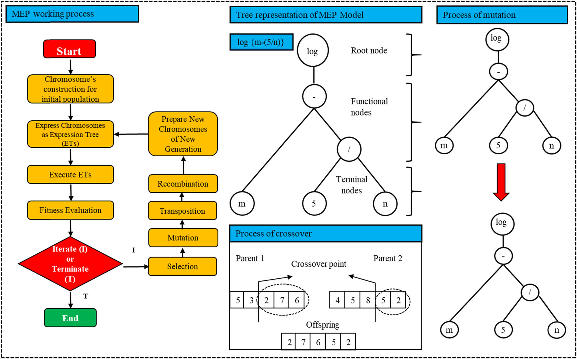 Figure 5 
                  Process flow diagram of MEP.
               