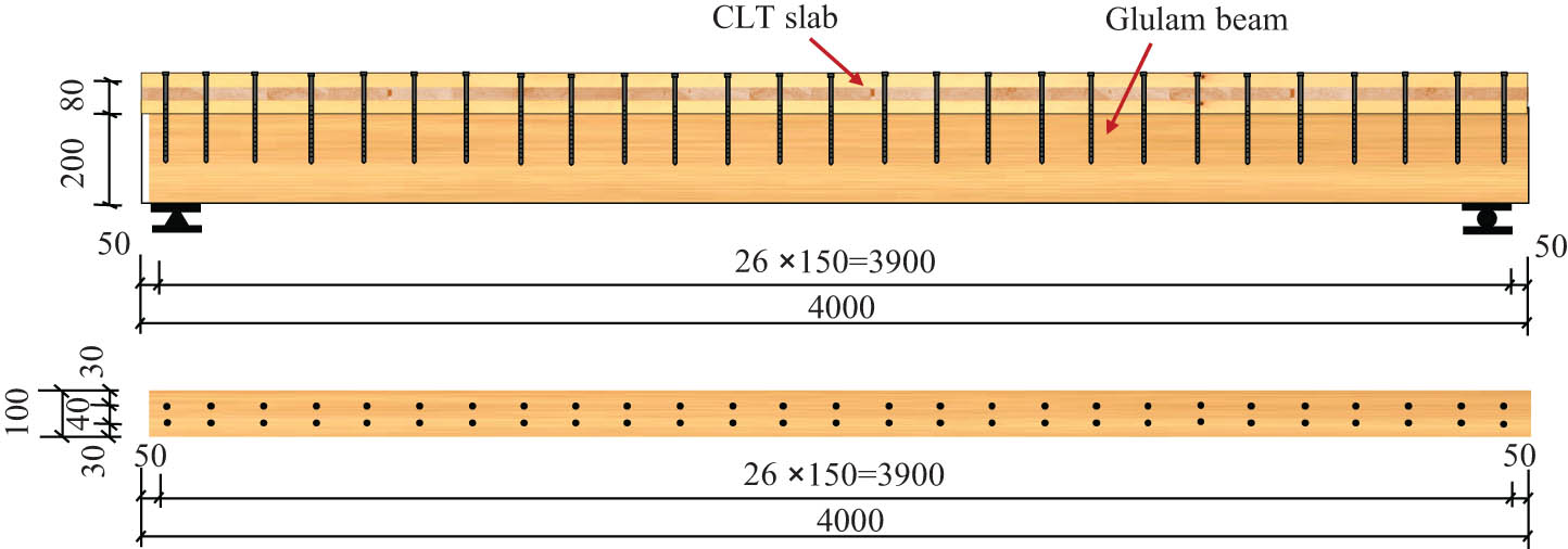 Figure 2 
                  Arrangement of screw connections in the prefabricated composite floor.
               