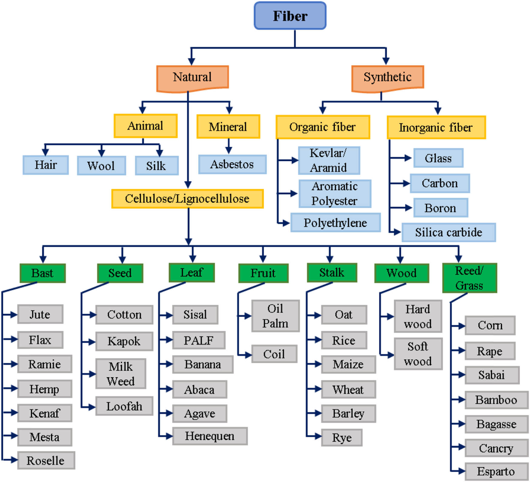 Figure 1 
               Classification of natural fibers. Adopted from ref. [113] with permission. Copyright MDPI, 2021 (Open Access CC BY-NC 4.0 Deed).
            