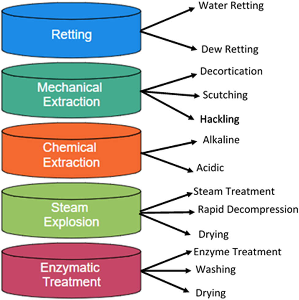 Figure 2
Different treatment procedures for NFCs.