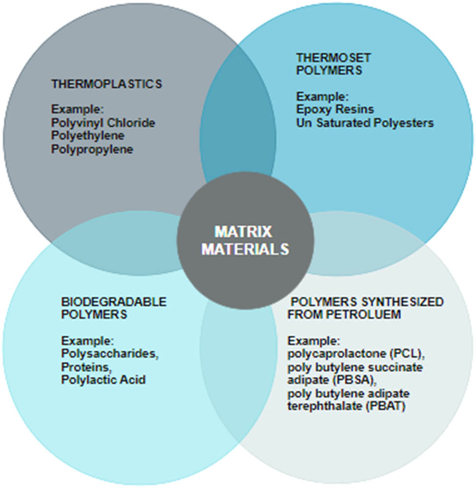 Figure 4
Types of matrix materials used for the synthesis of NFCs.