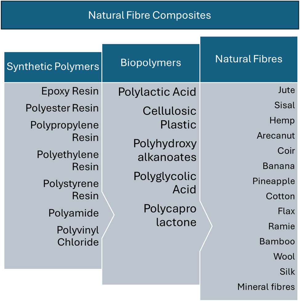 Figure 6
NFCs synthesized from different fibers.