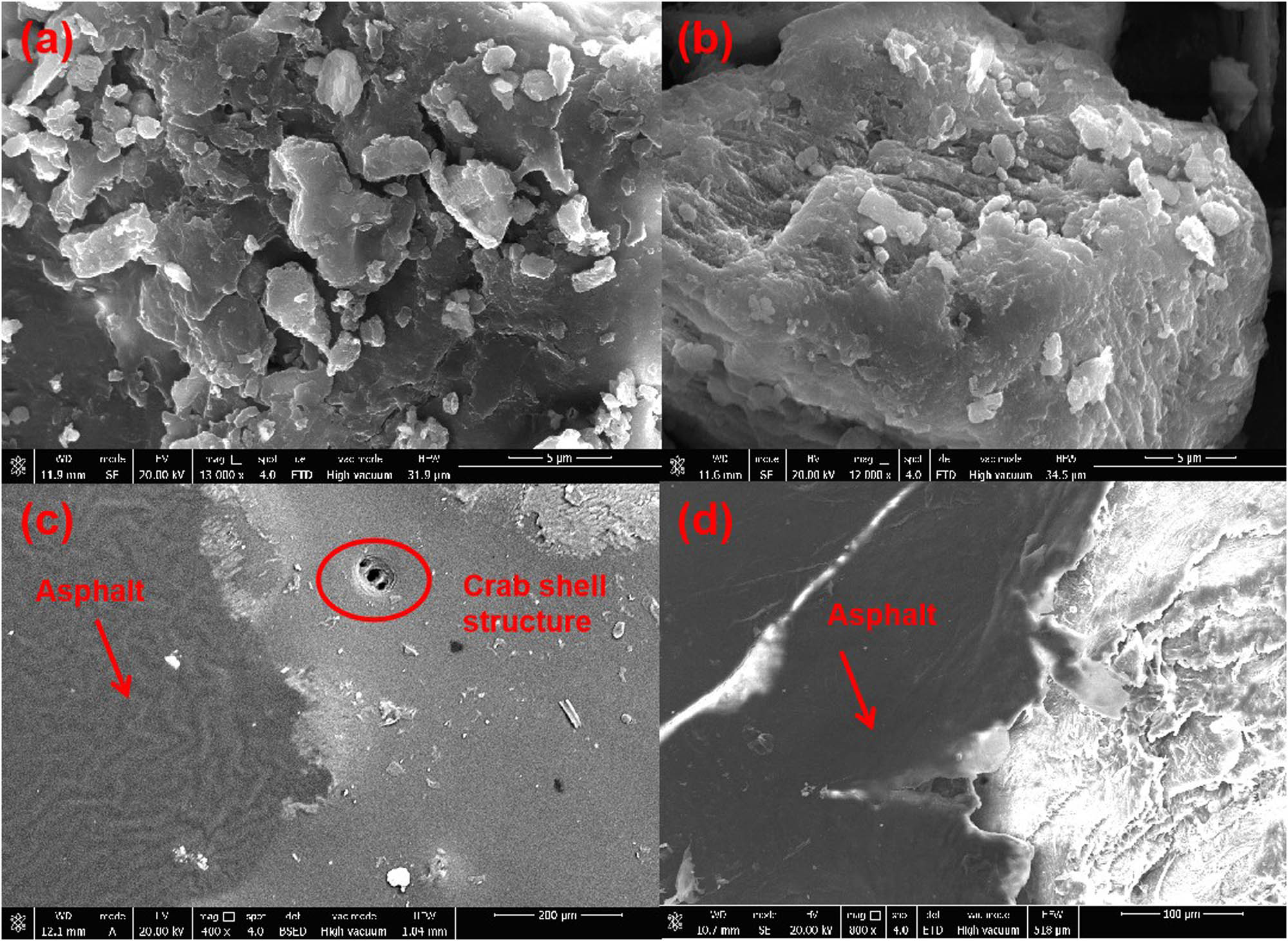 Figure 12 
                  SEM images of WS powder particles and adhesion of waste crab shell to asphalt. (a and b) WS microscopic morphology; (c) adhesion morphology of asphalt and crab shell surface; and (d) adhesion between asphalt and crab shell fracture surface.
               
