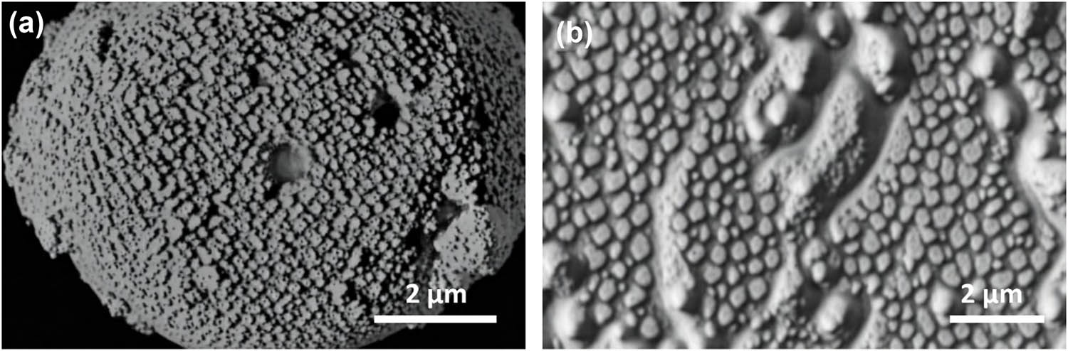 Figure 2 
               Backscattered SEM micrographs of (a) WC-10wt%Co-4wt%Cr agglomerates and (b) carbide dissolution at particle temperatures of 1,741°C.