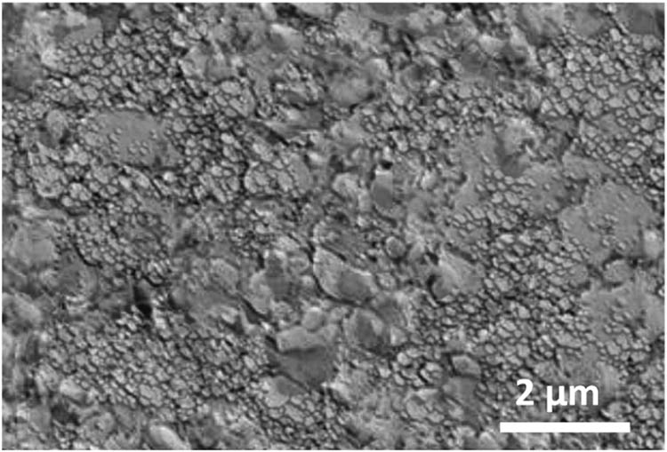 Figure 3 
               Backscattered SEM micrographs of carbide dissolution at particle temperatures of 1,842°C.