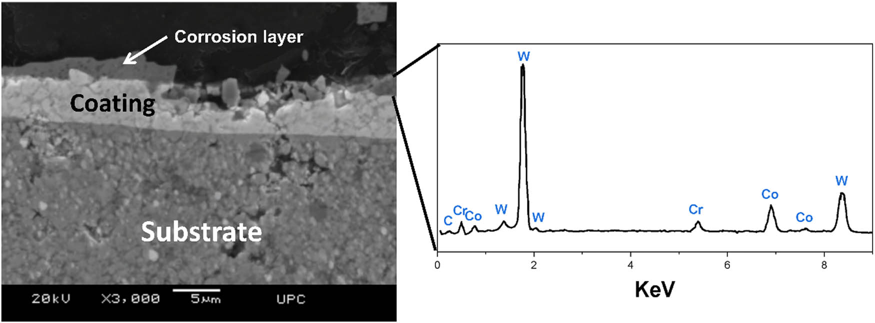 Figure 7 
               SEM image showing crevice corrosion along splat boundary.