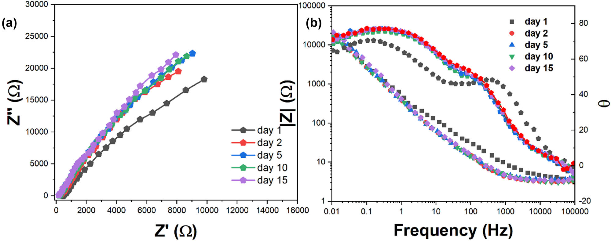 Figure 10 
               (a) Nyquist and (b) Bode phase plots showing EIS response with time.
