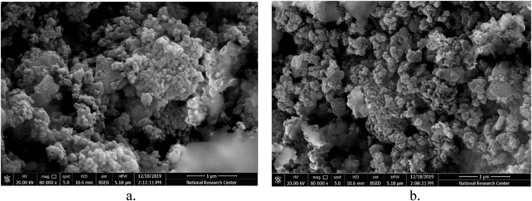 Figure 2 
                  SEM images of the nanomaterials. (a) NBIFs. (b) NBOF.
               