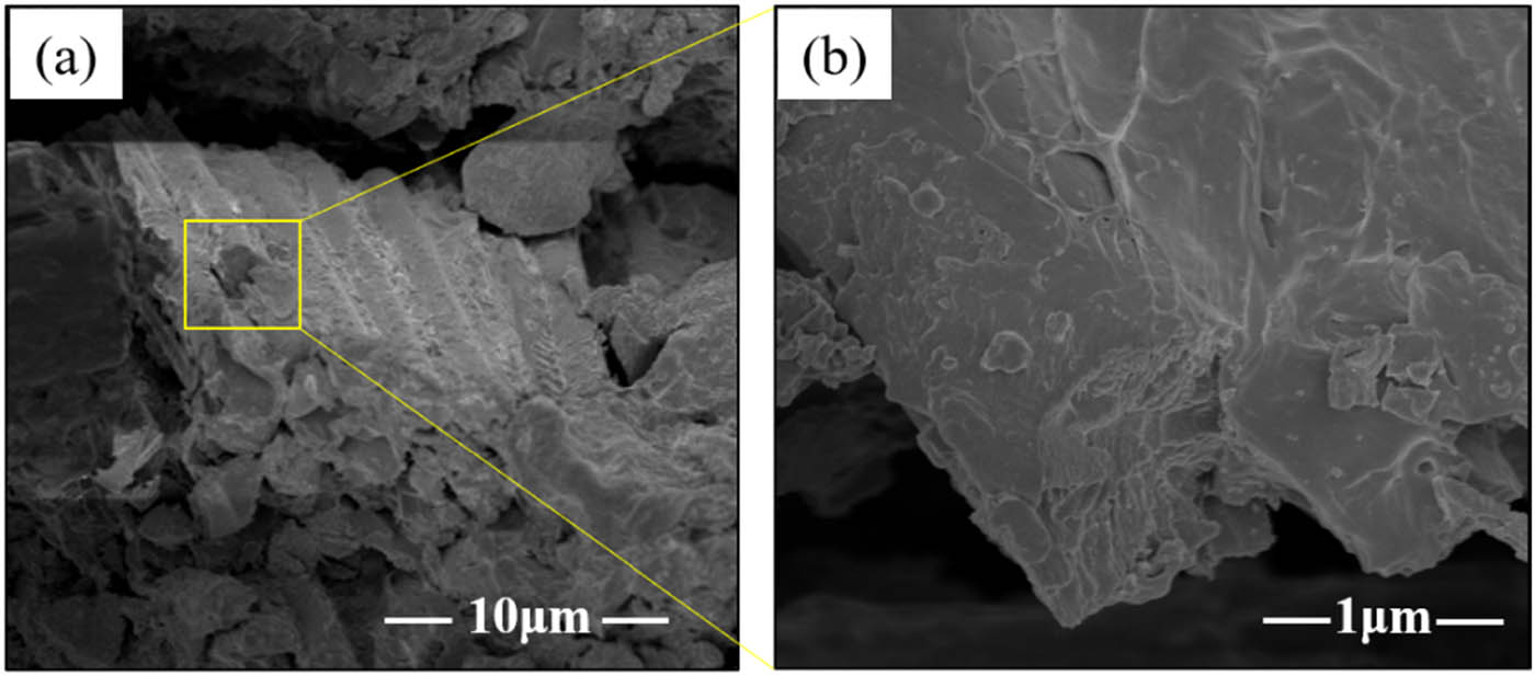 Figure 4 
                  (a) The SEM and (b) localized magnified images of the T700/PEEK composites.
               