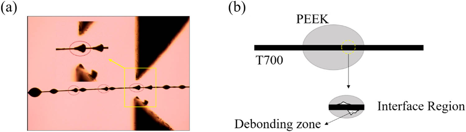 Figure 9 
                  (a) Peeling experiments at 230°C and (b) interface defects.
               