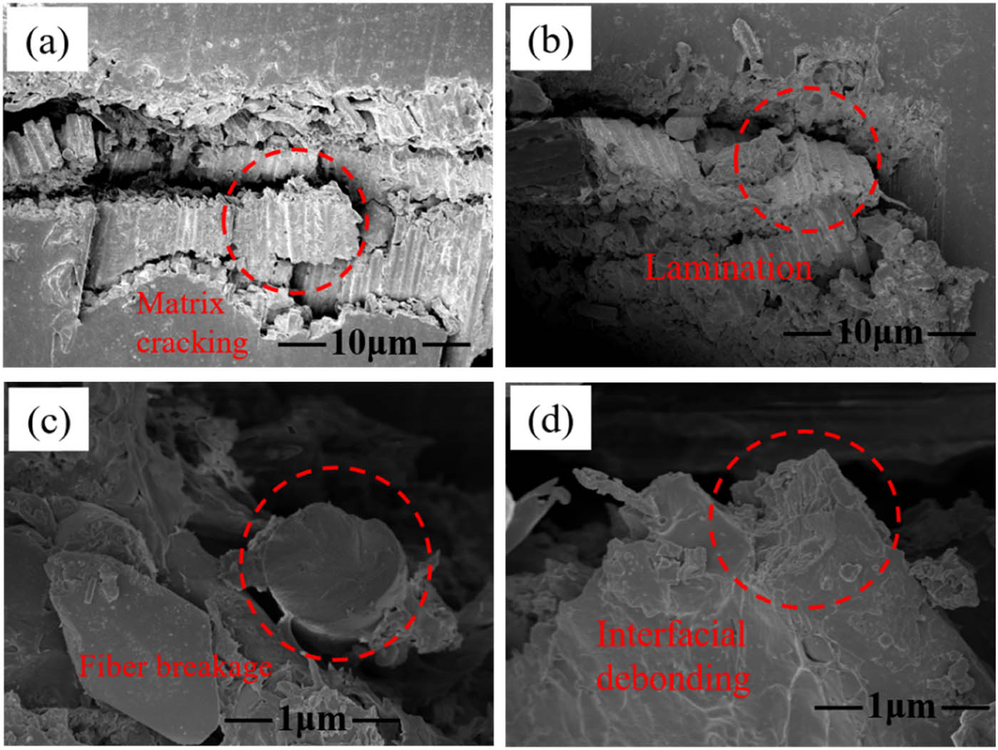 Figure 12 
                  The SEM images of (a) matrix cracking, (b) lamination, (c) fiber breakage, and (d) interfacial debending.
               