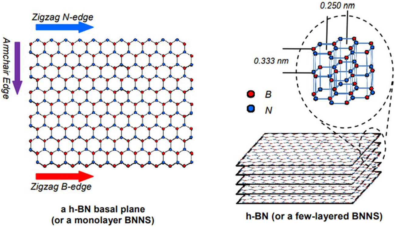 Figure 4 
                  Schematic illustration of BNNS structure [68].
               