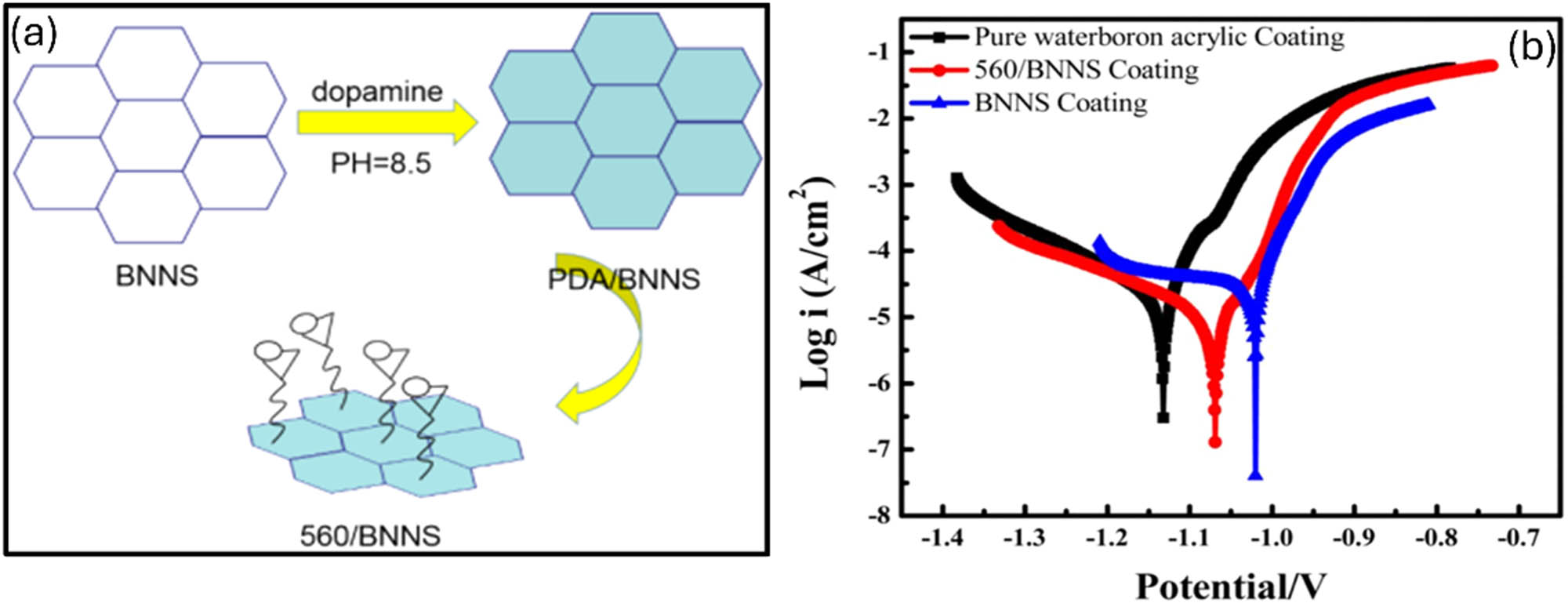 Figure 9 
                  (a) Schematic diagram of modified BNNS (560/BNNS) and (b) potentiodynamic polarization curves of a pure water-borne acrylic coating, BNNS coating, and 560/BNNS coating [45].
               