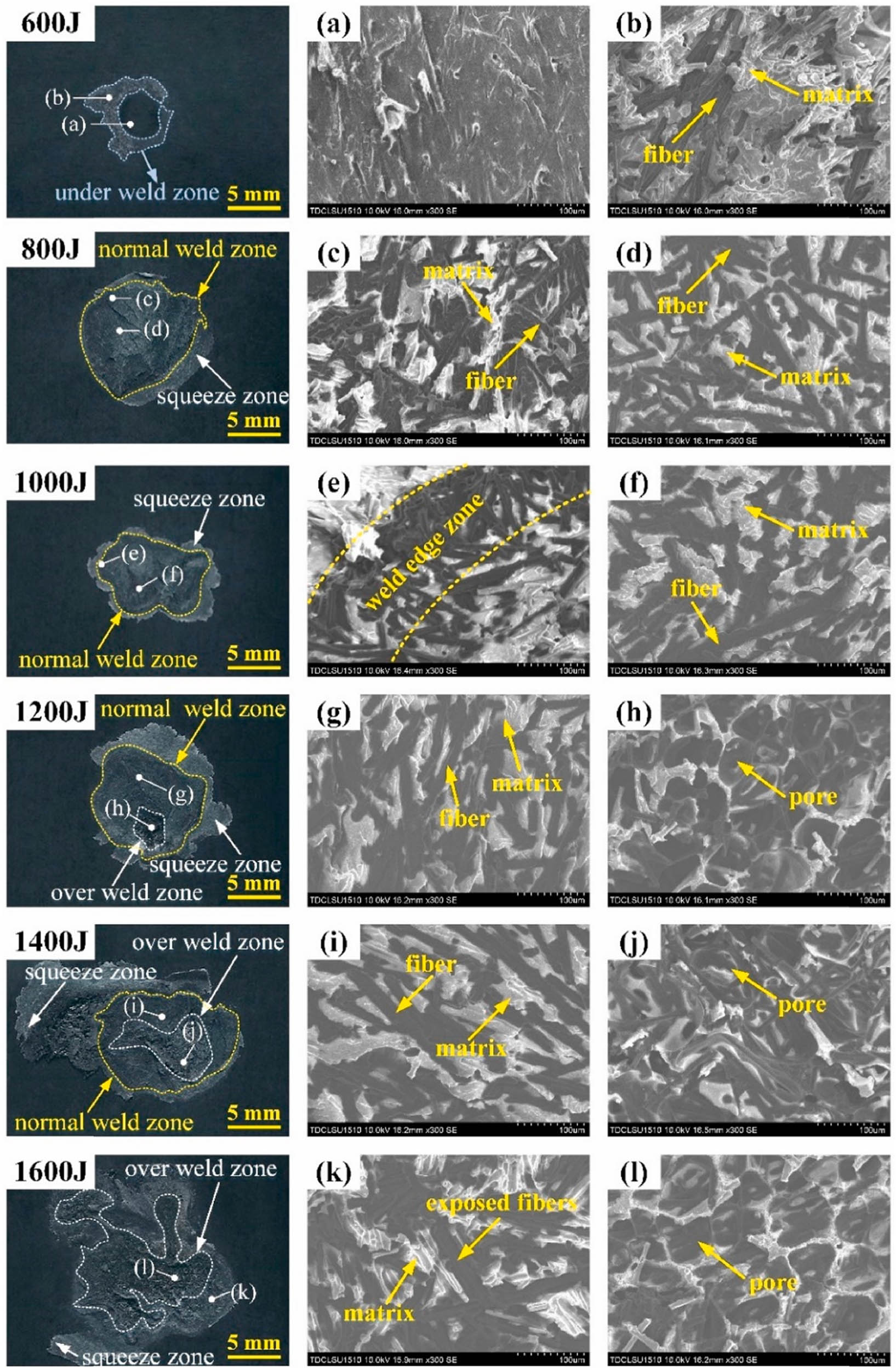 Figure 26 
                  (a) Unweld zone at 600 J, (b) under weld zone at 600 J, (c) and (d) normal weld zone at 800 J, (e) weld edge zone at 1000 J, (f) normal weld zone at 1000 J, (g) normal weld zone at 1200 J, (h) over weld zone at 1200 J, (i) normal weld zone at 1400 J, (j) over weld zone at 1400 J, (k) and (l) over weld zone at 1600 J. [232].
               