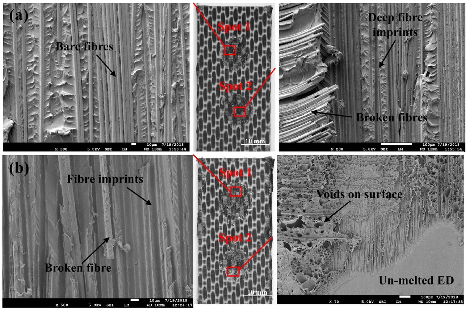 Figure 28 
                  SEM details and fracture surfaces of CF/PPS SSW of (a) sonotrode with D = 20 mm and (b) sonotrode with D = 40 mm welded at the corresponding optimum displacements [231].
               