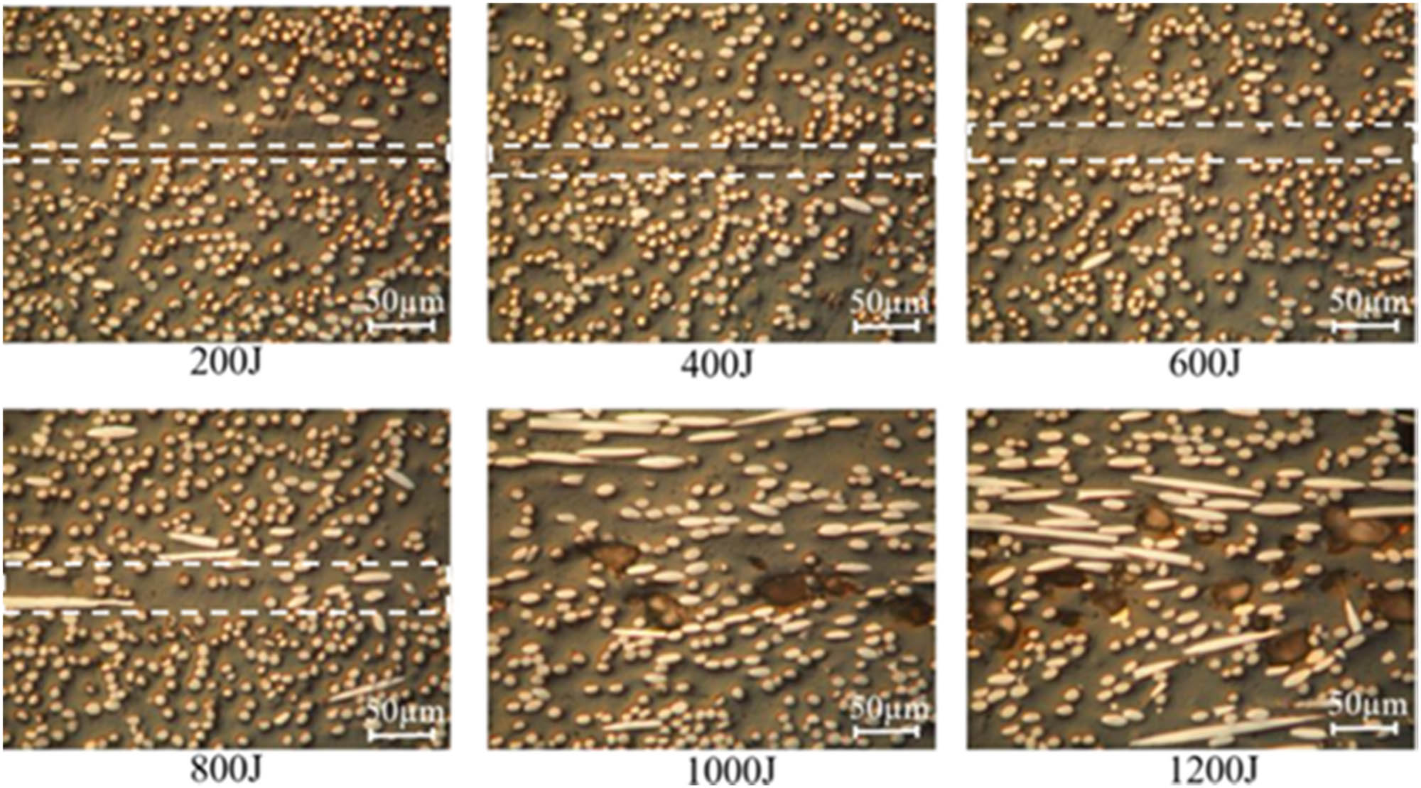 Figure 39 
                  The microstructures cross sectional evolution through the welded area of CF/PA6 [274].
               