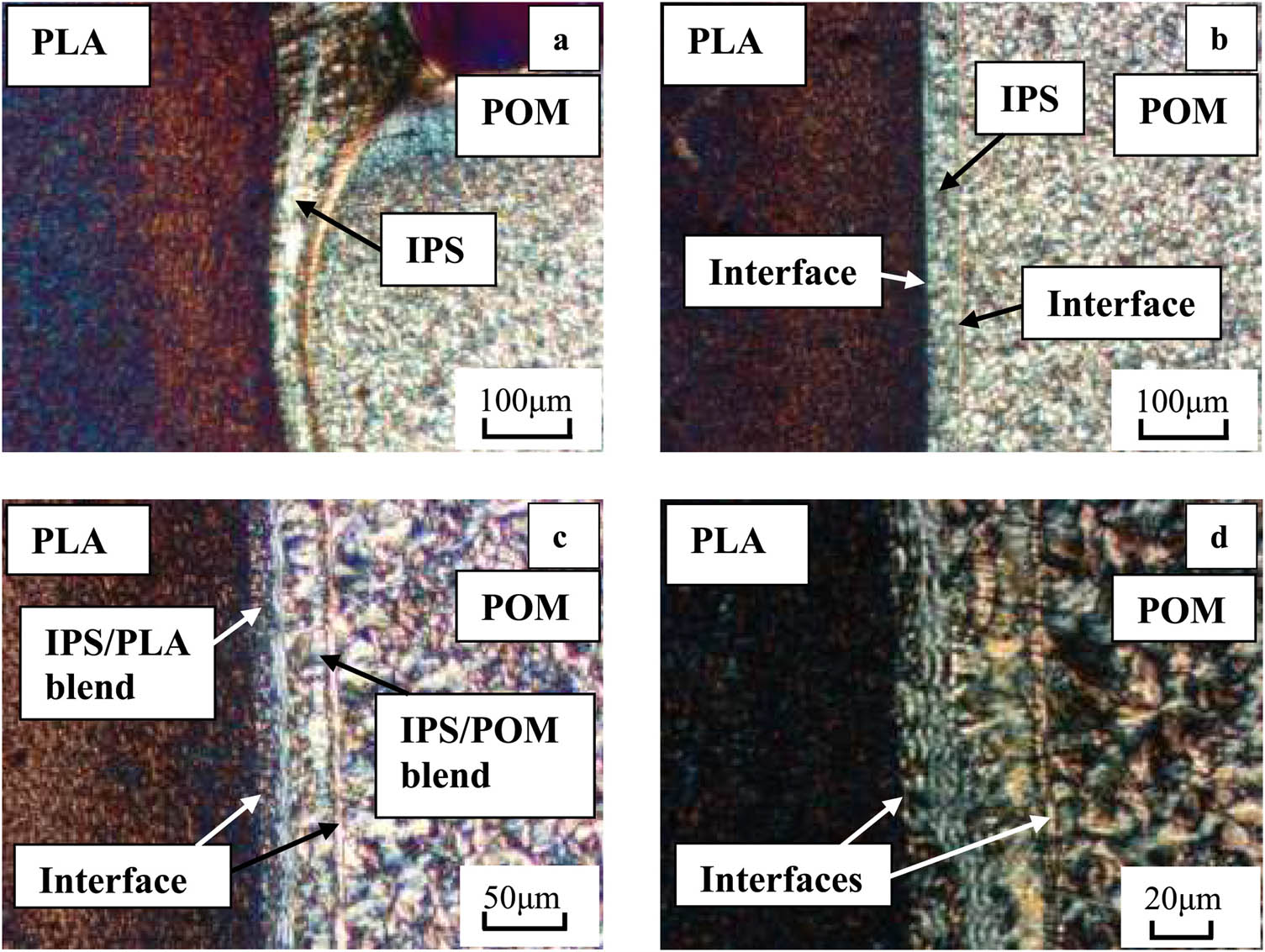 Figure 49 
                  Polarizing microscopy images of the welded interfaces of POM/PLA joints [279].
               