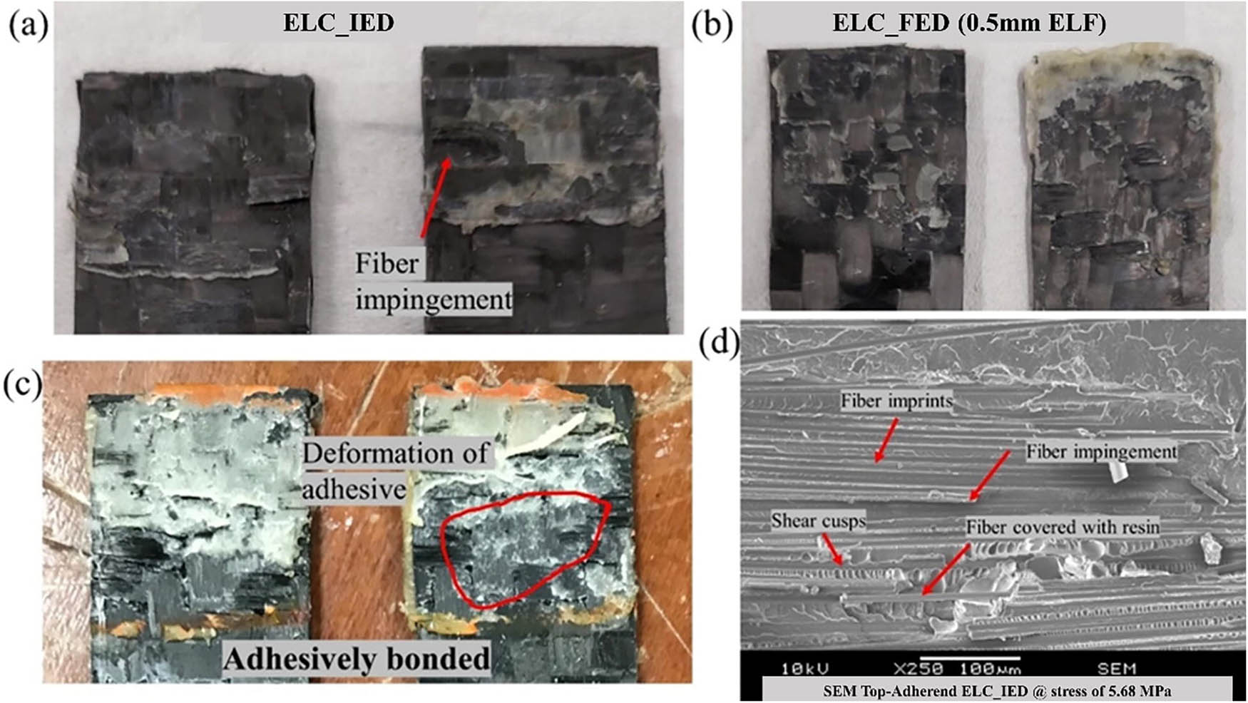 Figure 58 
                  The adherends failure at 5.68 MPa: (a) ELC_IED, (b) ELC_FED, (c) adhesively bonded (SAF 30 5), and (d) the SEM of ELC_IED top adherend [63].
               