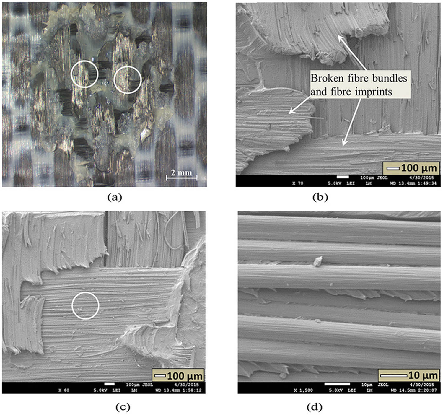 Figure 60 
                  The fracture surface of CF/PEEK at (a) optical and SEM detail, (b–d) for USW spot welding after DLS tests. Welding parameters: 600 J energy, 1,500 N welding force, and 60.8 μm peak-to-peak amplitude [72].
               