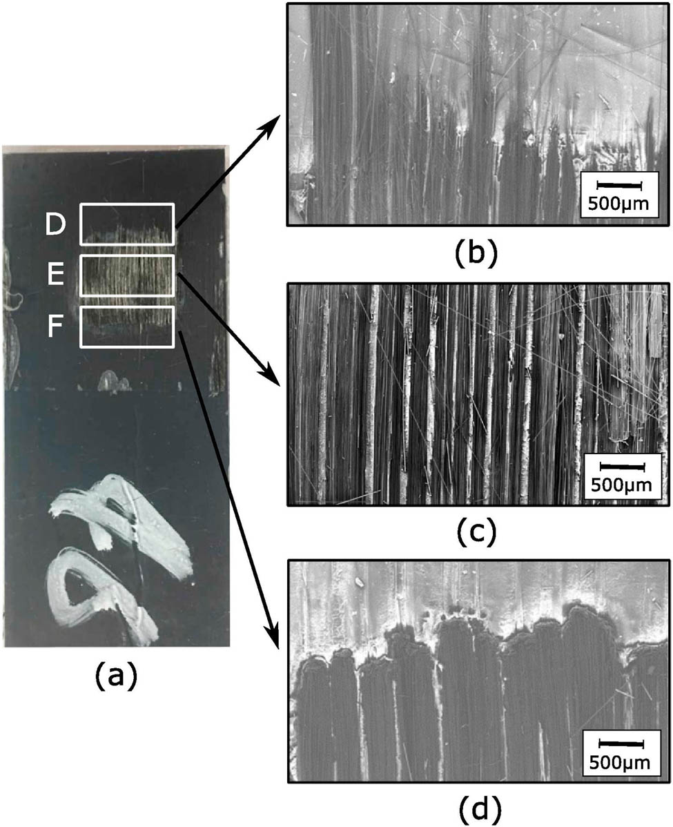 Figure 75 
               The fracture surfaces of cross-ply laminate joint of CF/PA6 with implementing FED after LSS [6].
            