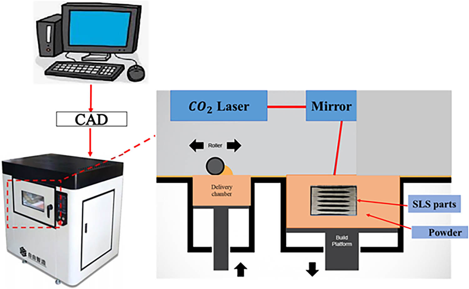 Figure 3 
                  The structure of SLS machine characteristic process.
               