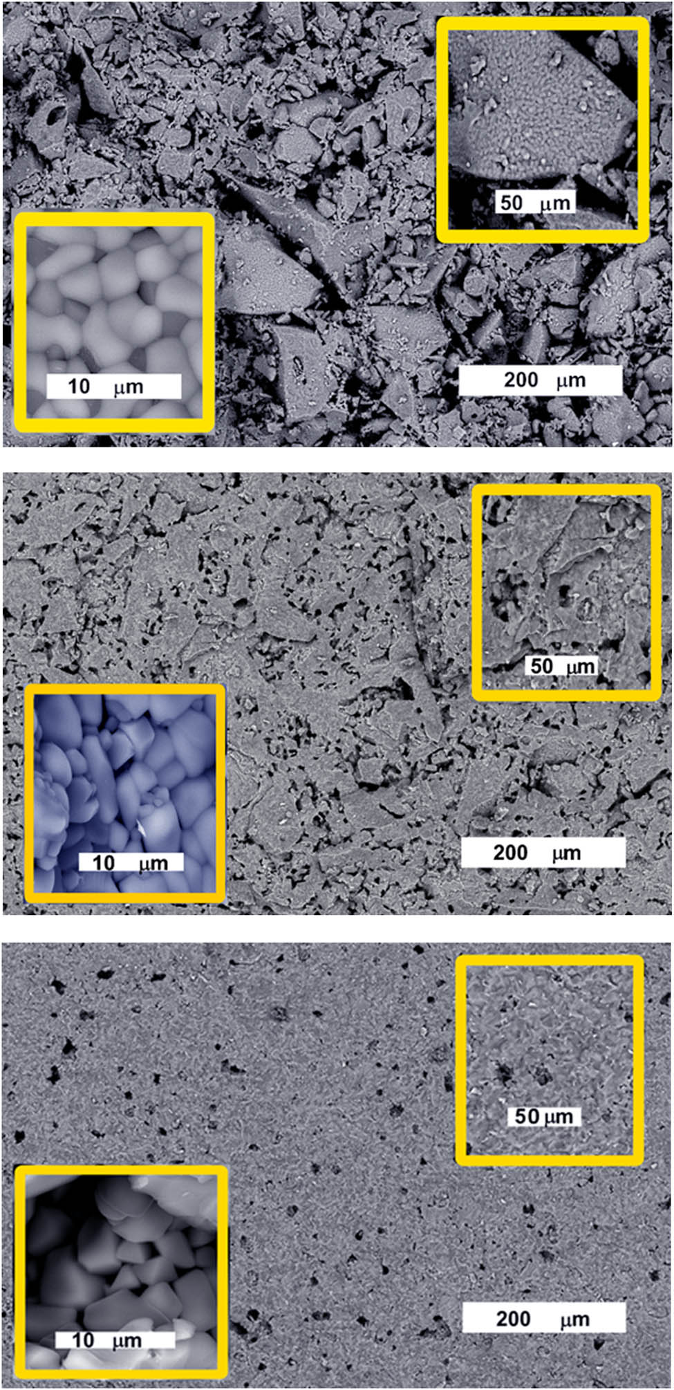 Figure 3
SEM images of G0, G0.5Fe, and G1.0Fe glasses sintered at 1,200°C.
