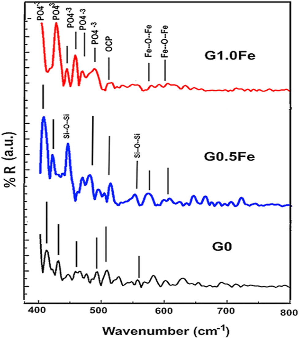 Figure 6
FTIR reflection of G0, G0.5Fe, and G1.0Fe glasses sintered at 1,200°C.