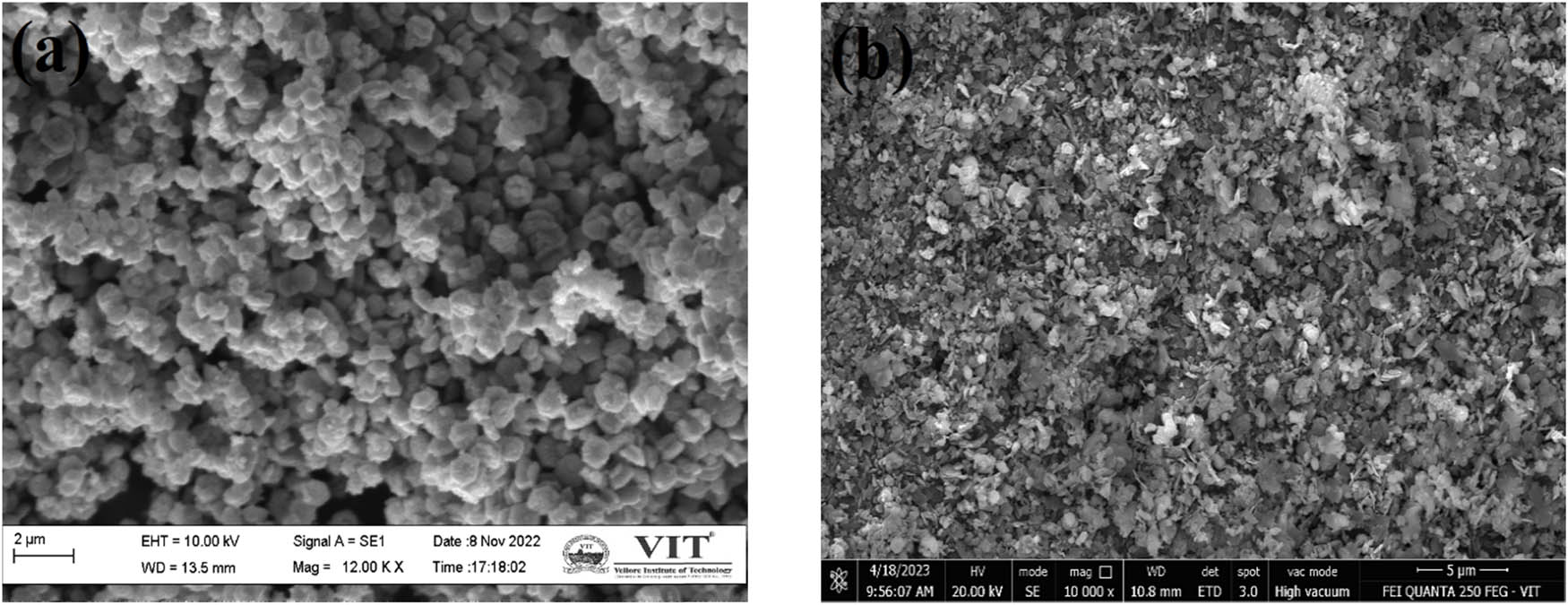 Figure 6 
                  Surface morphology of Sphagneticola trilobata: (a) ZnO NPs and (b) SZnO NPs.
               