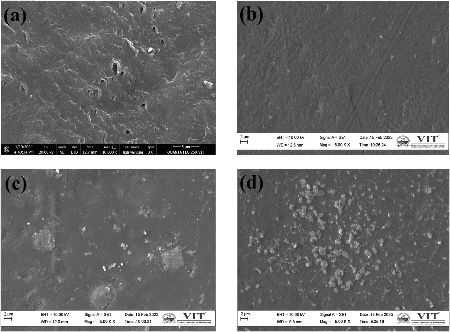Figure 10 
                  SEM image of membranes: (a) Nafion, (b) PVA, (c) PVA-0.35ZnO, and (d) PVA-0.35SZnO.
               