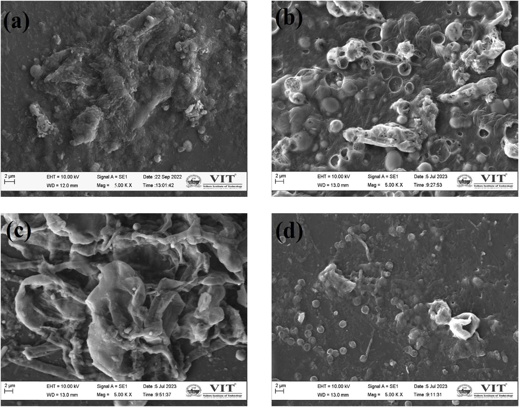 Figure 13 
                  Surface morphology of the fouled membrane: (a) Nafion, (b) PVA, (c) PVA–0.35ZnO, and (d) PVA–0.35SZnO.
               