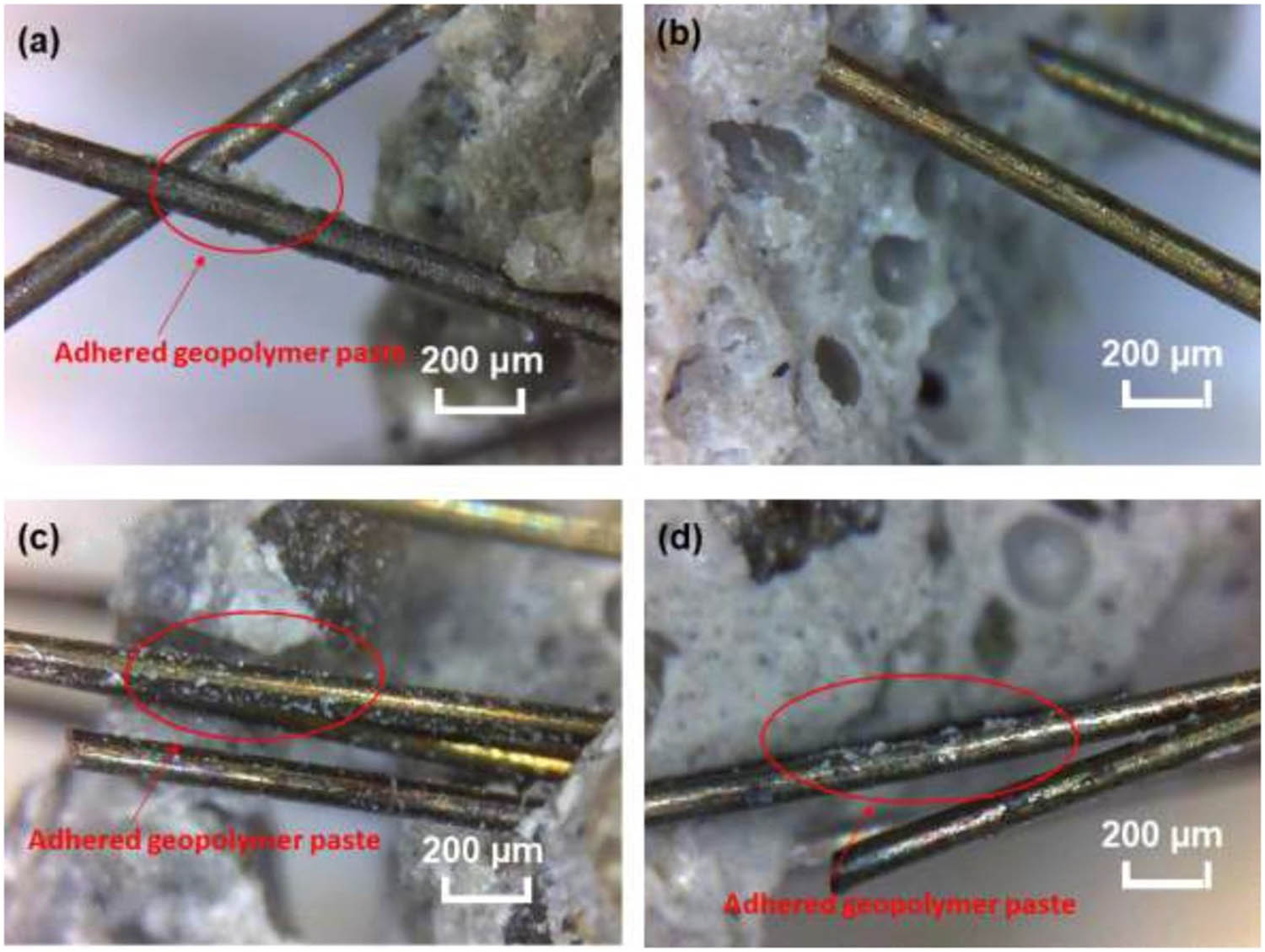 Figure 24 
               Observation of the crack zone of UHPGC with optical microscopy (Adopted from [49]). (a) 5%, (b) 10%, (c) 20%, and (d) 30%.
            