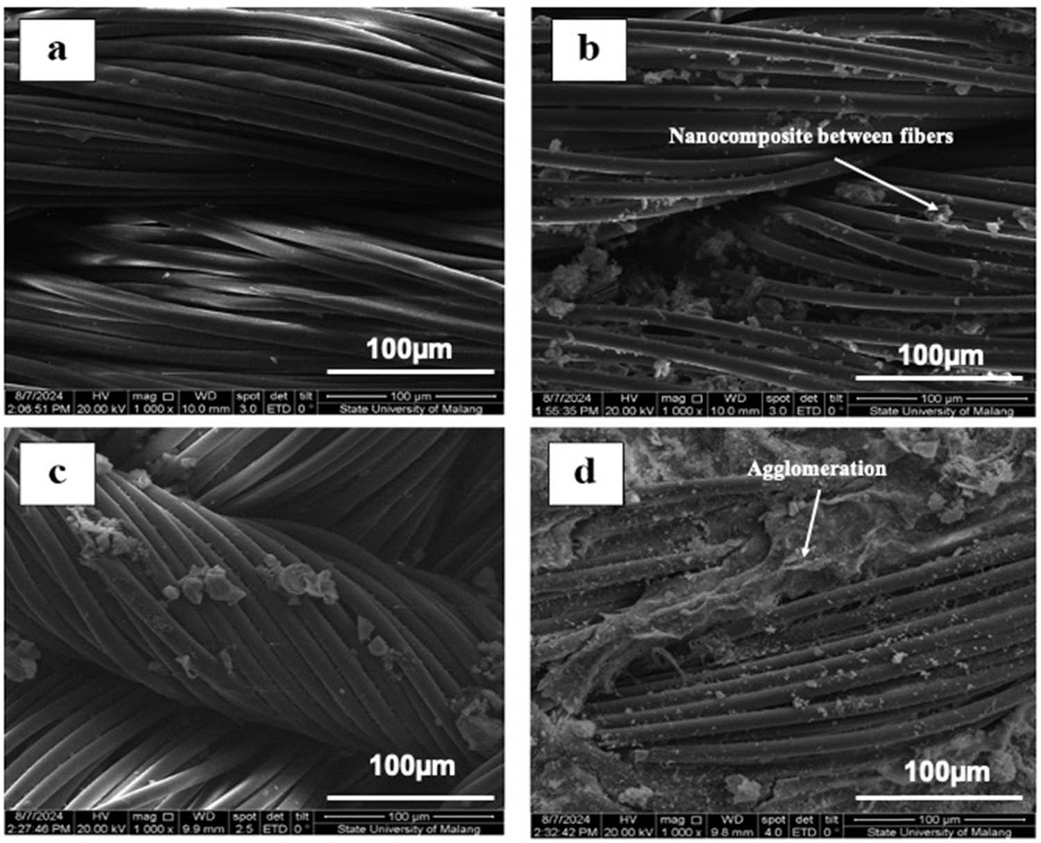 Figure 2 
                  SEM of (a) untreated cotton fabric, (b) coated cotton fabric OPBA:ZnO (1:1), (c) coated cotton fabric OPBA:ZnO (1:2), and (d) coated cotton fabric OPBA:ZnO (0:1).
               