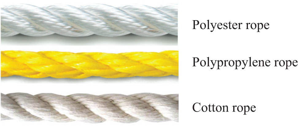 Figure 2 
                  Polyester, polypropylene, and cotton ropes.
               