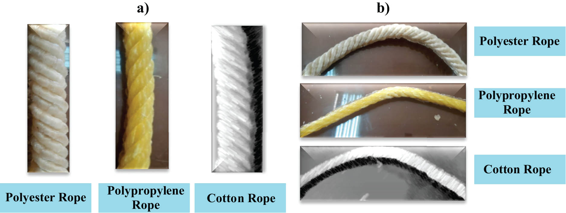 Figure 8 
                  (a) Before and (b) after bending.
               