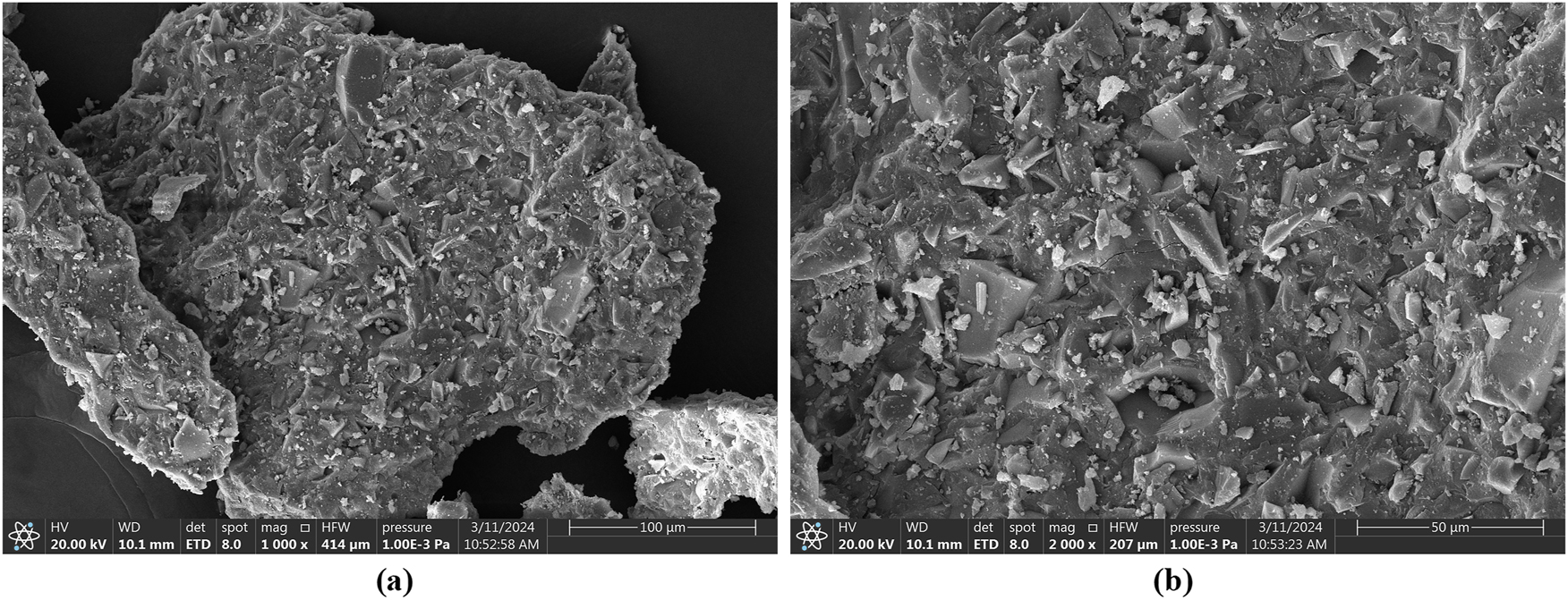 Figure 8:
Microstructure analysis of M0 group.
