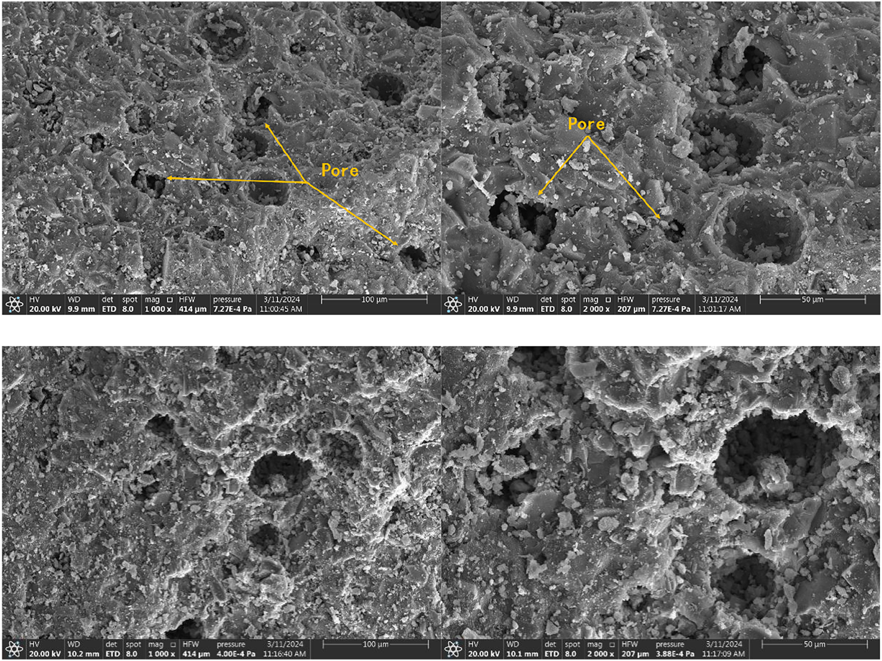 Figure 9:
Microstructure analysis of TS1 group.