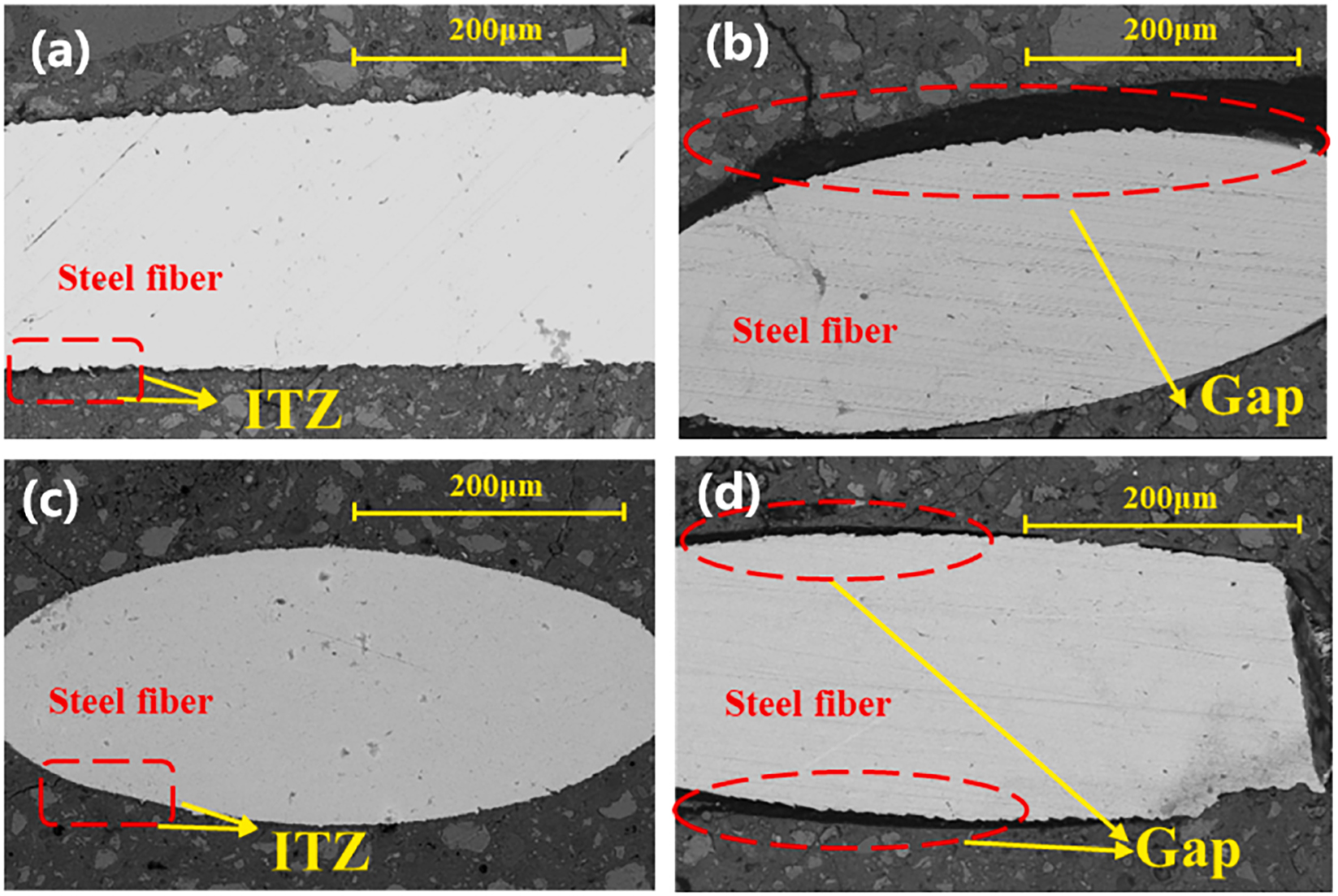 Figure 18: 
Morphology of steel fiber-matrix ITZ: (a) Mold cast with hooked fibers; (b) 3DPC with hooked fibers; (c) mold cast with straight fibers (d) 3DPC with hooked fibers [40].
