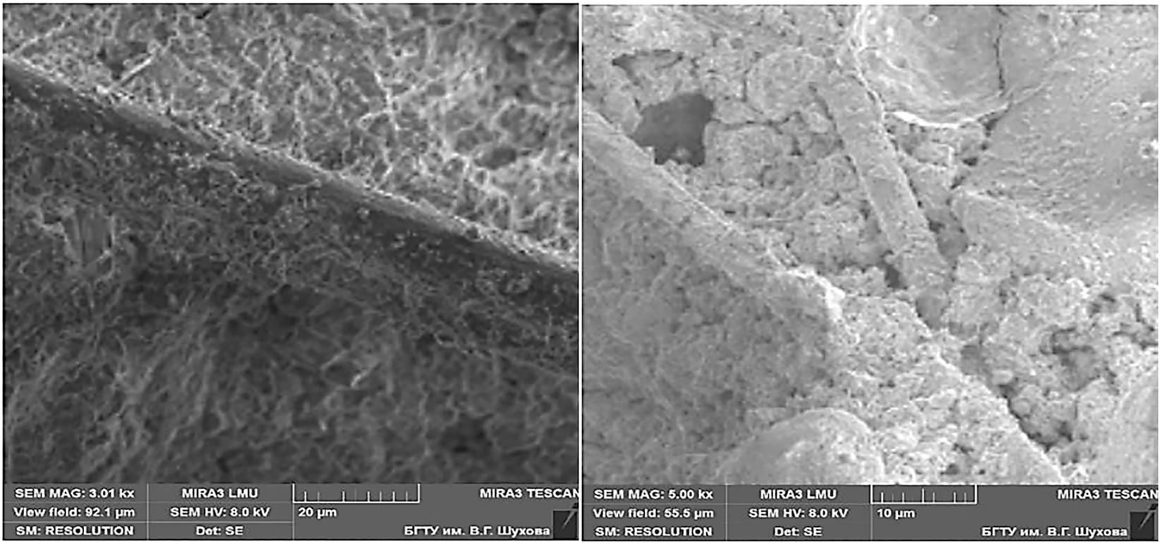 Figure 19: 
Fiber-matrix ITZ with mineral modifier in 3DPCM [58].
