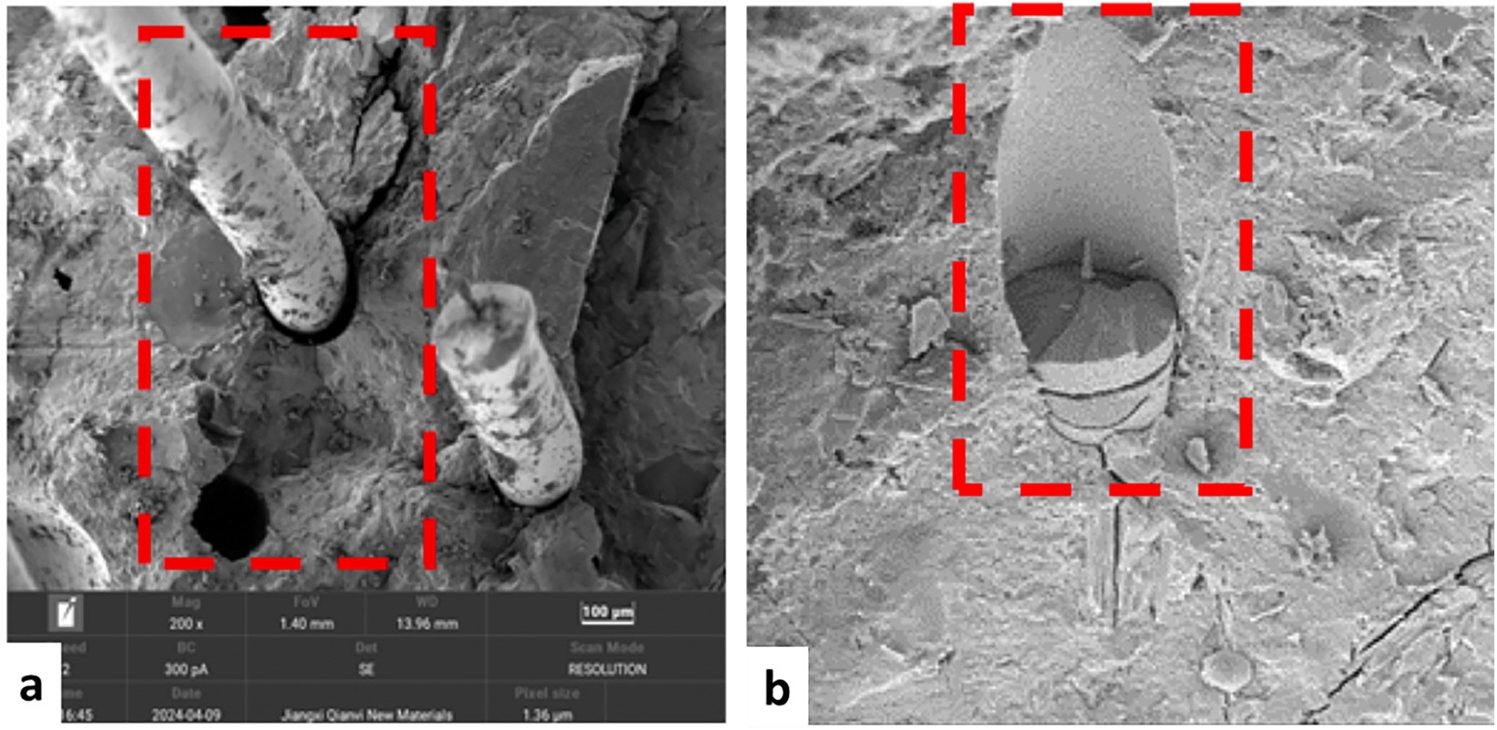 Figure 20: 
Micromorphology of fiber-3DPCM matrix ITZ after failure: (a) Pullout of steel fibers; (b) rupture of basalt fibers [38].
