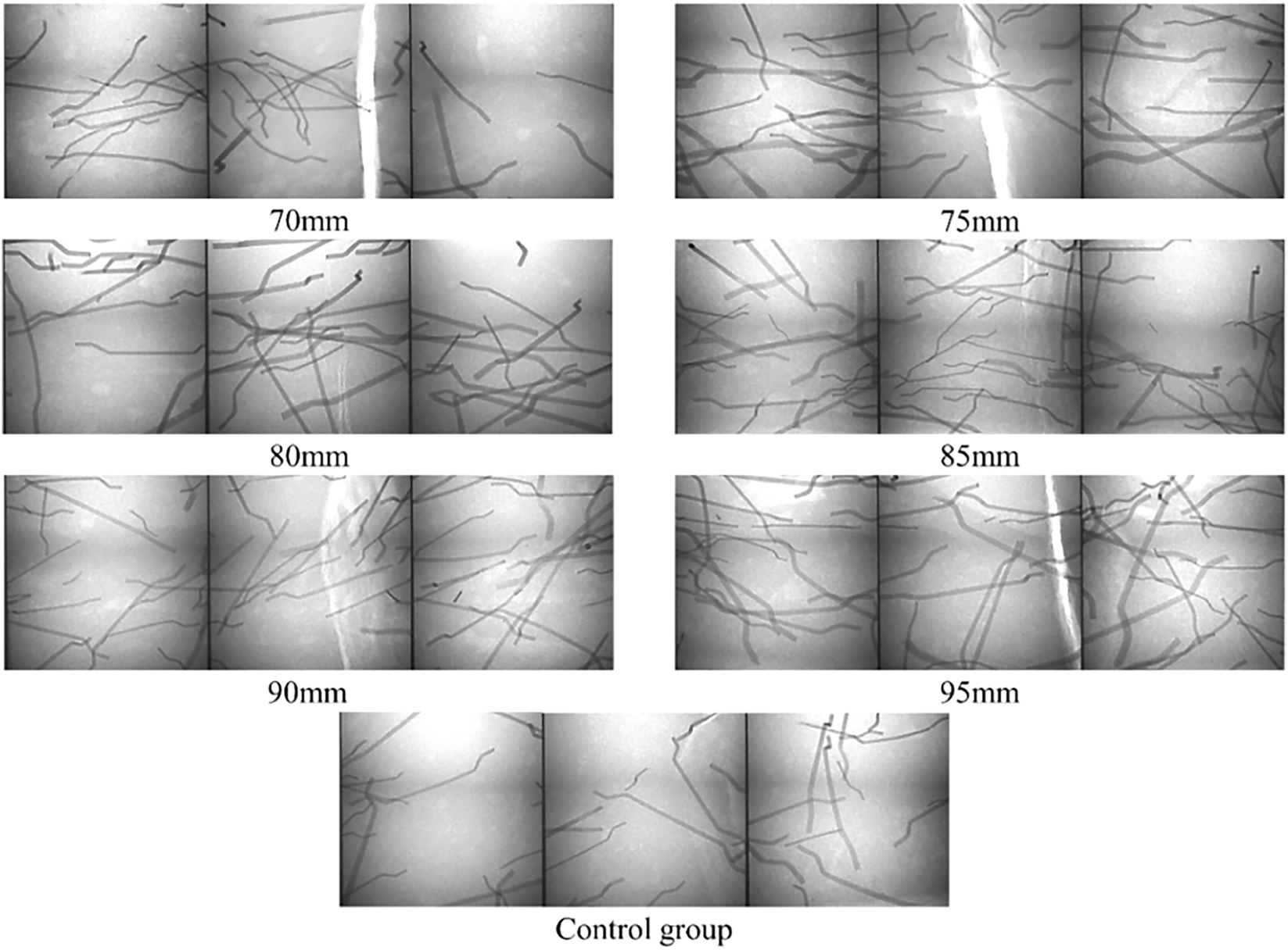 Figure 23: 
Fiber alignment under varying magnetic field intensities [41].
