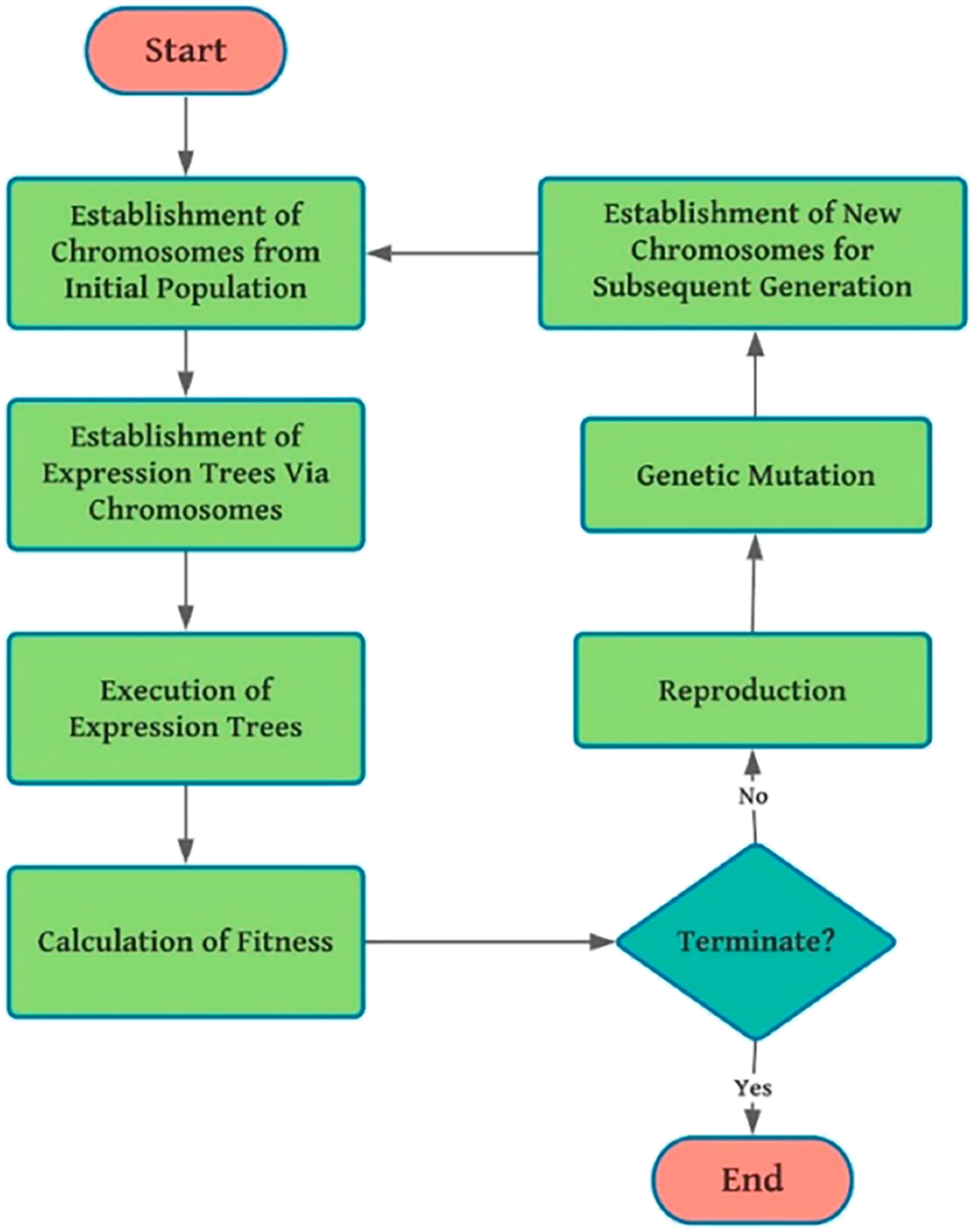 Figure 6: 
Flowchart indicating the execution process of the GEP model [69].
