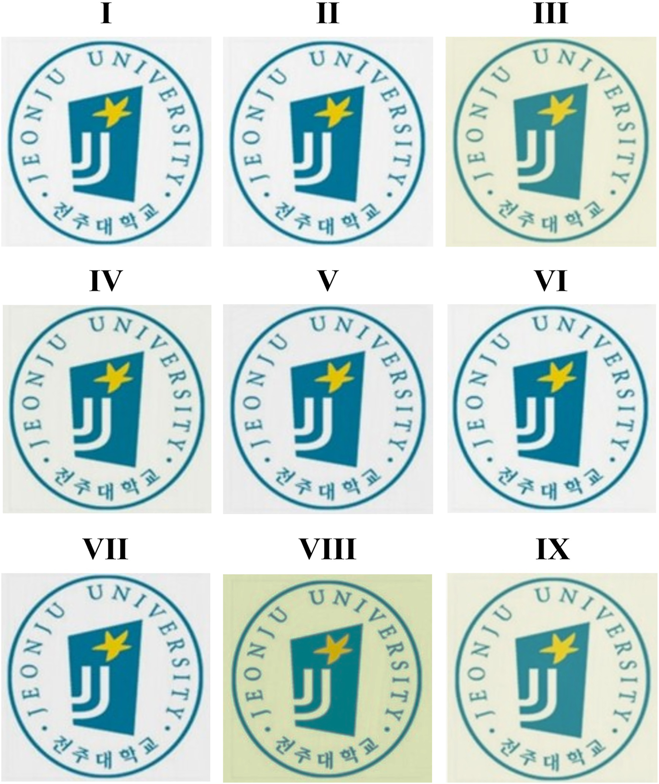 Figure 10: 
Photographs of various CPIs based on BU-DA monomer.
