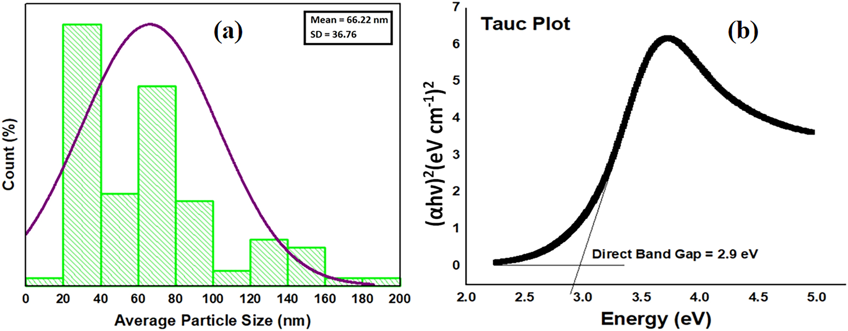 Figure 4: 
Size distribution and optical properties of ZnO NMs. (a) Particle size distribution and (b) Tauc plot.
