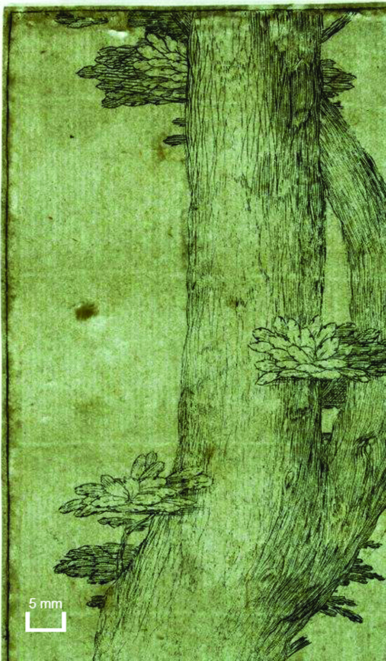 Figure 9: Lucas van Leyden: Samson and Delilah, inv. no. 67048 D, recto, detail (transmitted light): The added margin on the top and the left are discernable, they do not show chain lines.