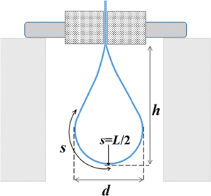 Figure 2: Schematic depiction of the hanging pear loop test. L is the total length which is the undeformed, exposed length, s is the arc length, d is the maximum width of the loop, and h is the height of the loop.