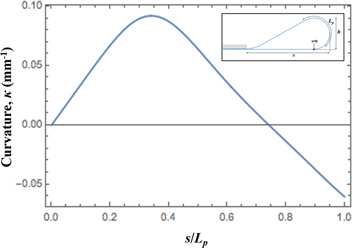 Figure 5: Calculated curvature, κ, for the clamped fold test for copy paper. s=0 represents the point where the strip lifts off the foundation (base). Starting from s=0, as the strip length increases, the curvature steadily increases, reaches a maximum, and falls to negative values near the clamped end.