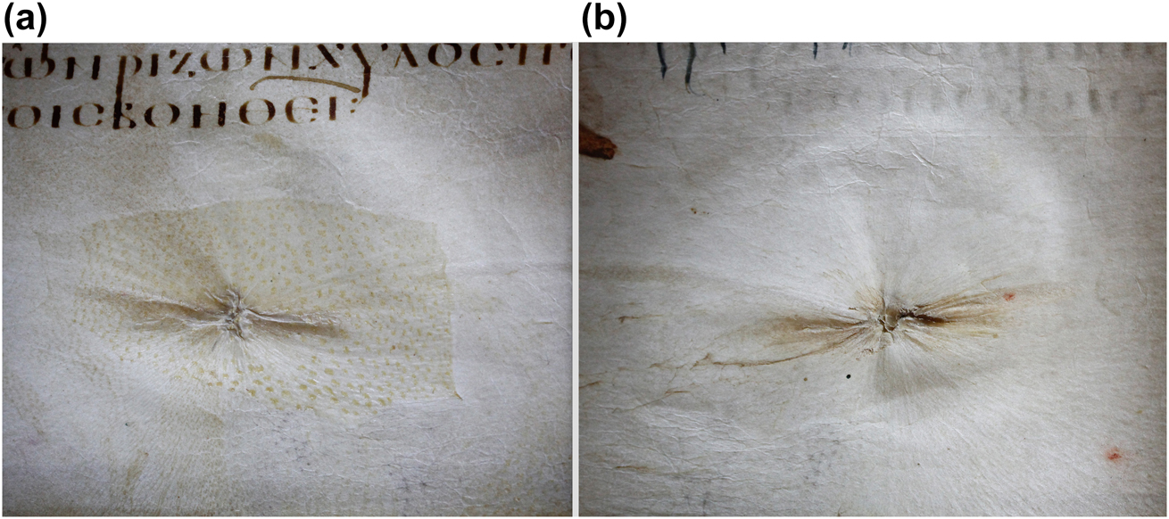 Figure 8: 
The Vienna Dioscorides, folio 175.
(a) Belly button repair seen from the hair side of parchment. (b) Belly button repair seen from the flesh side of parchment.
