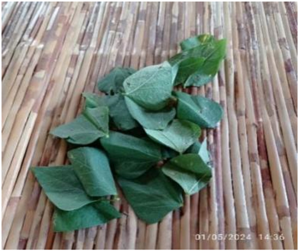 Figure 2: 
Komak leaves collected for the care of manuscripts.
