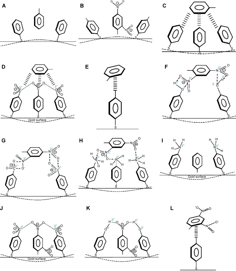 Figure 1 Representative conceptual diagram of possible molecular interactions between aromatic vapors and benzene thiols as receptors. Reproduced with permission from Raorane et al. (2008).