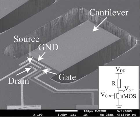 Figure 4 SEM image of an nMOSFET-embedded MC sensor. The inset displays the common-source stage circuit with resistive load, which was used as the measurement circuit in our experiments. Reproduced with permission from Wang et al. (2009).
